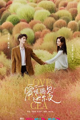 万江街道网站优化公司